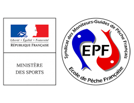 La proportionnalité réglementaire – Profession Éducateur Sportif spécialisé